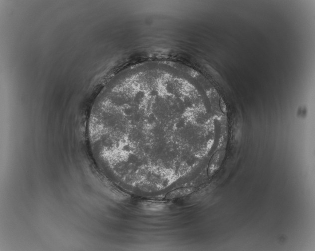 X0000110950661200907311043