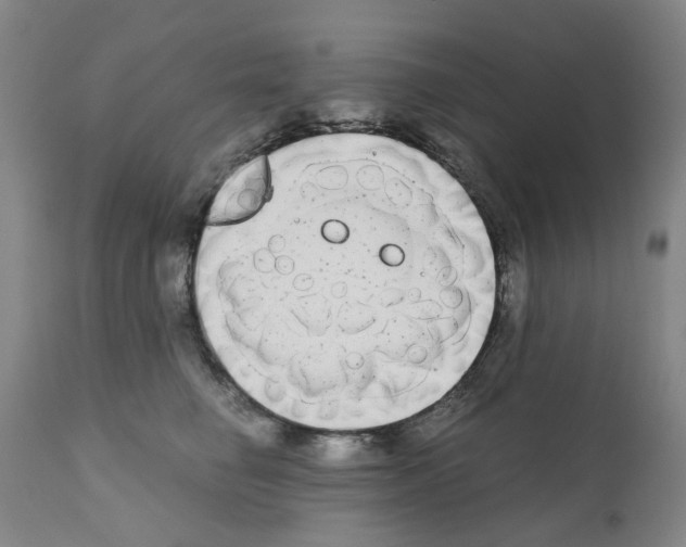 X0000110950662200907311043