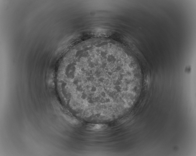 X0000110950663200907311043