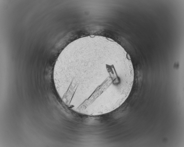 X0000110950664200907311043