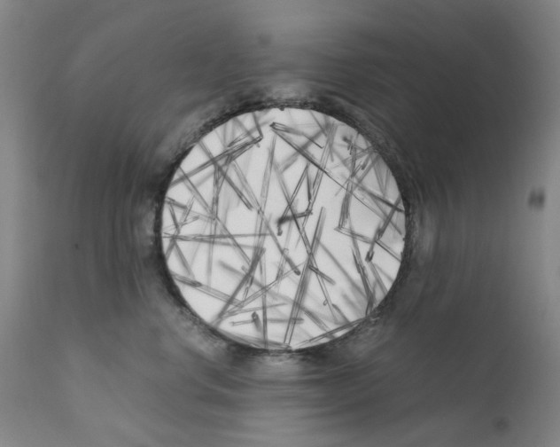 X0000110950668200907311043