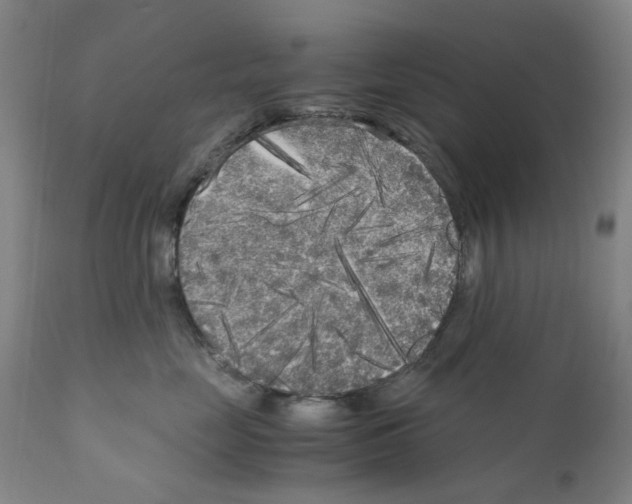 X0000110950669200907311043