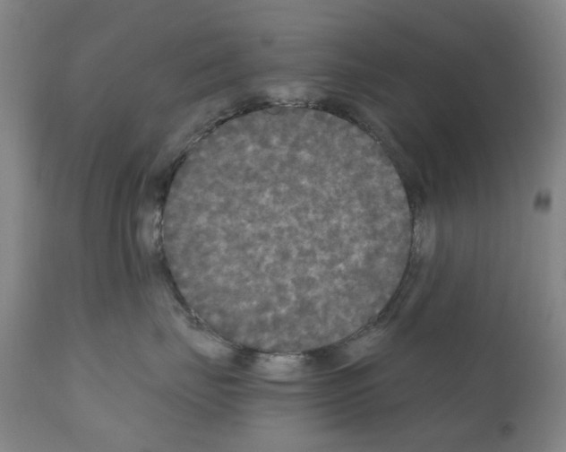 X0000110950671200907311043