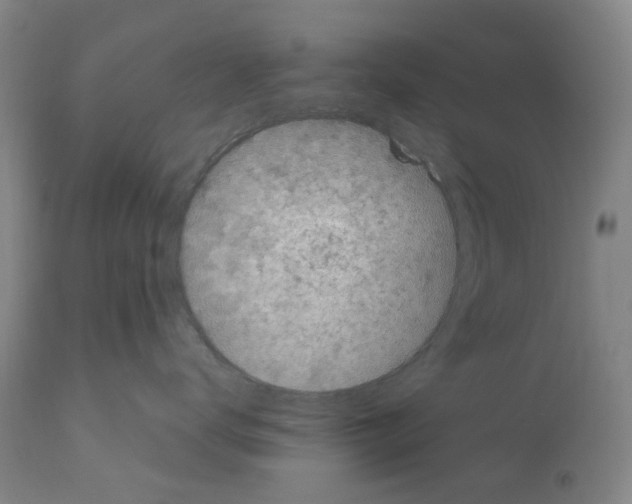 X0000110950672200907311043