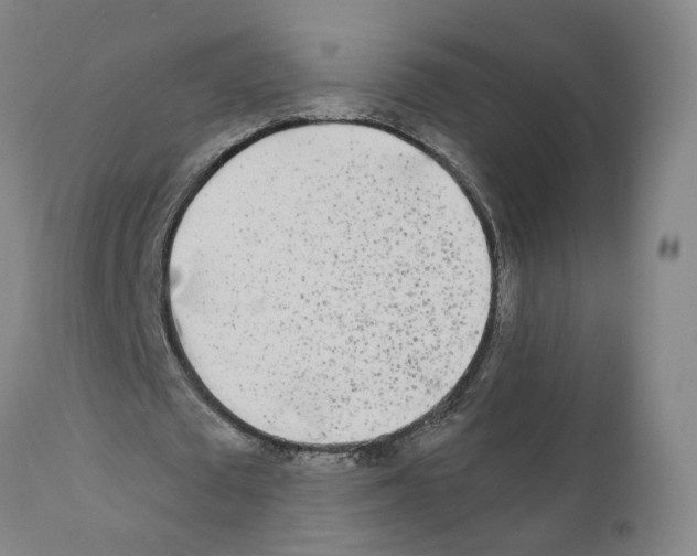 X0000110950673200907311042