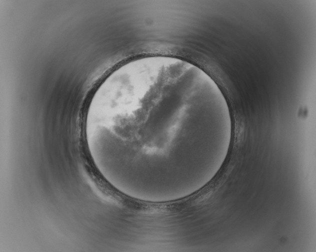 X0000110950674200907311042