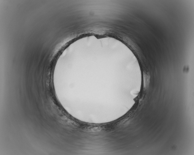 X0000110950675200907311042