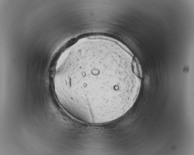 X0000110950676200907311042
