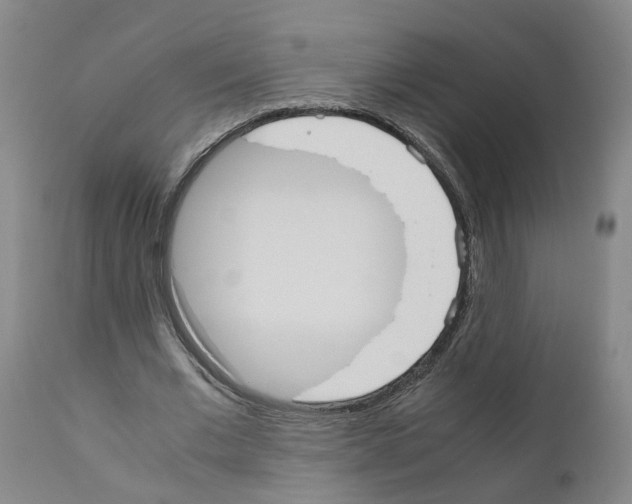 X0000110950677200907311042