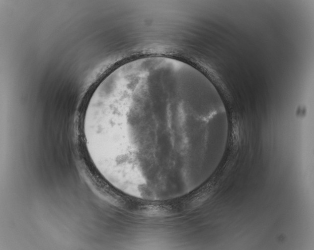 X0000110950678200907311042