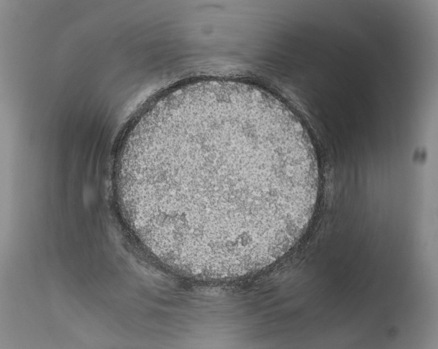 X0000110950679200907311042
