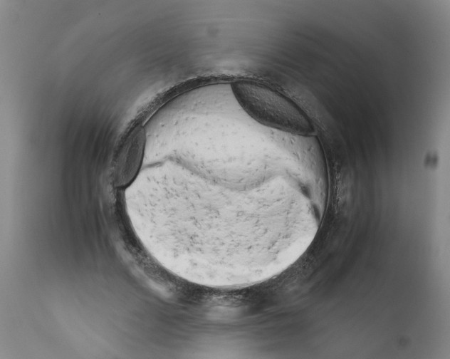 X0000110950680200907311042