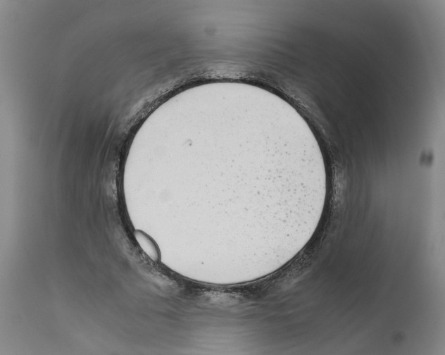 X0000110950681200907311042