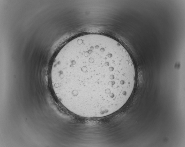 X0000110950682200907311042