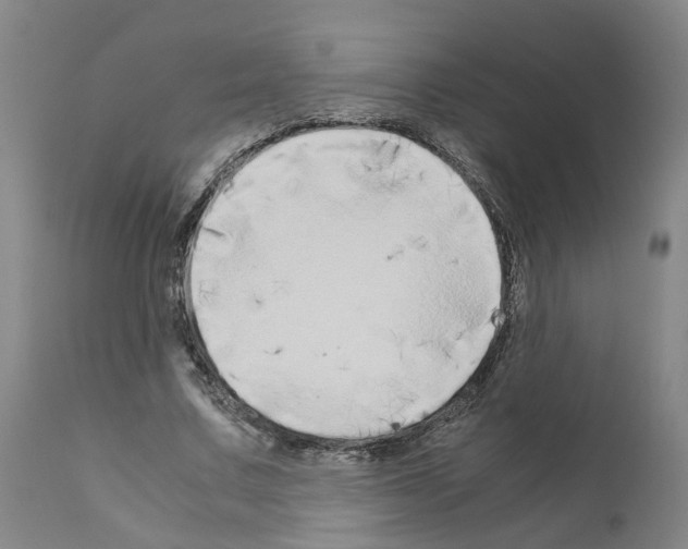 X0000110950683200907311042
