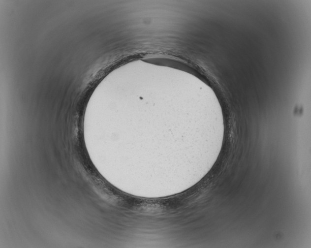 X0000110950685200907311042