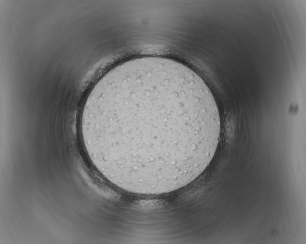X0000110950686200907311042