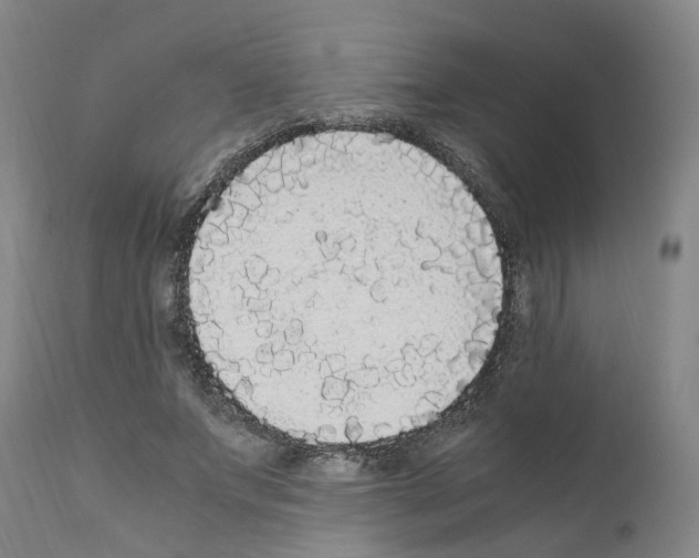 X0000110950687200907311042