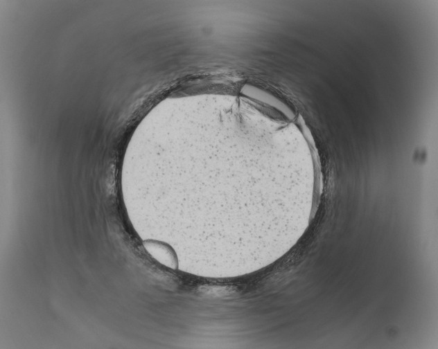 X0000110950689200907311042