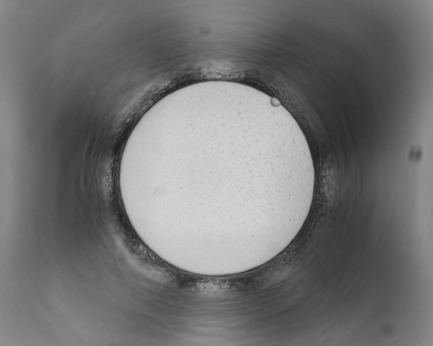 X0000110950690200907311042