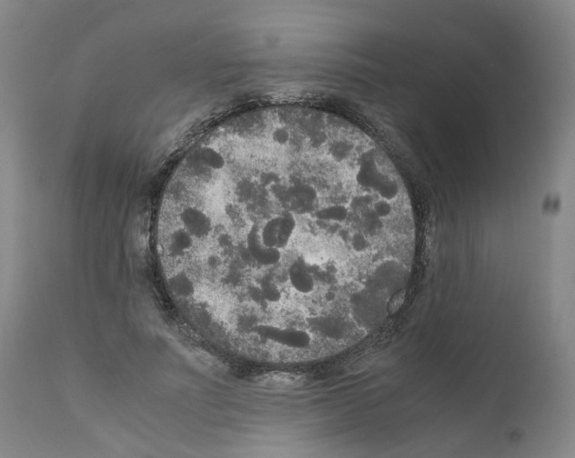 X0000110950691200907311042
