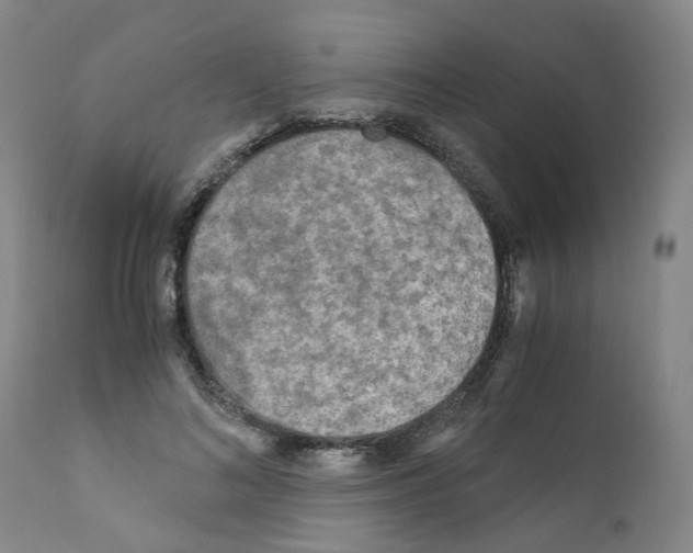 X0000110950692200907311042
