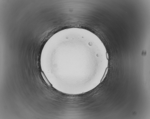 X0000110950693200907311042