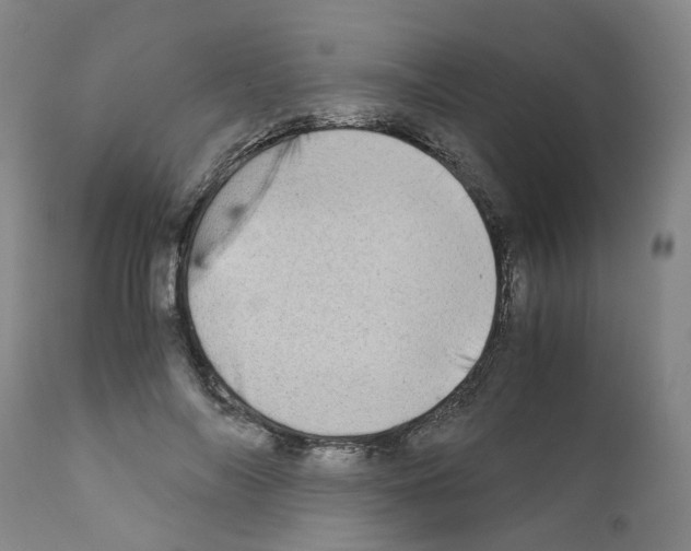 X0000110950694200907311042