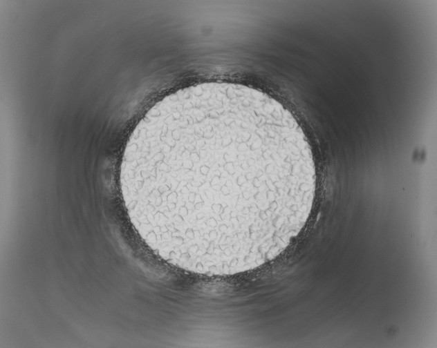 X0000110950695200907311042