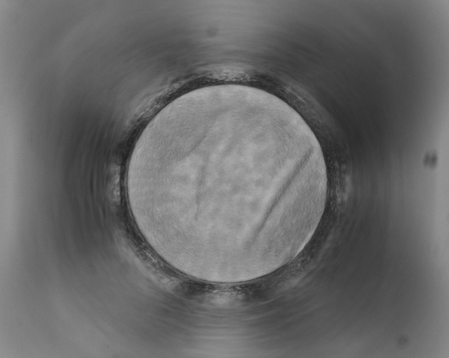 X0000110950696200907311042