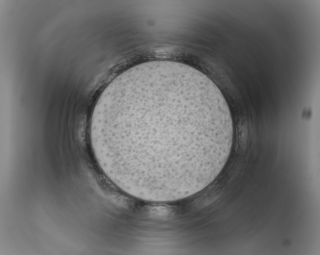 X0000110950698200907311042