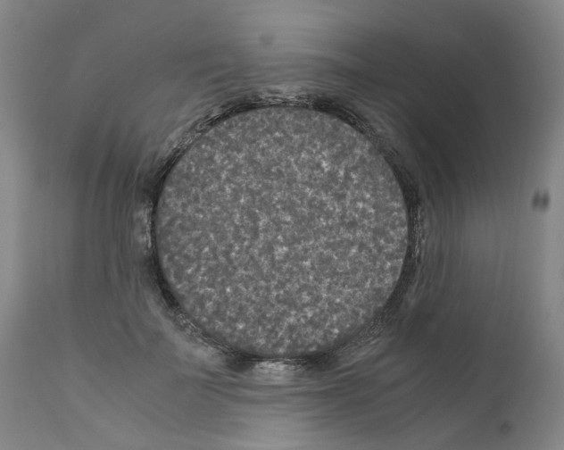 X0000110950699200907311042