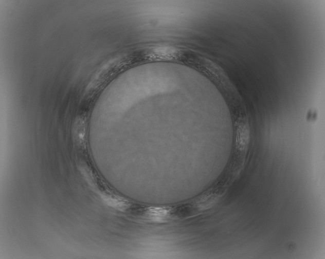 X0000110950701200907311042