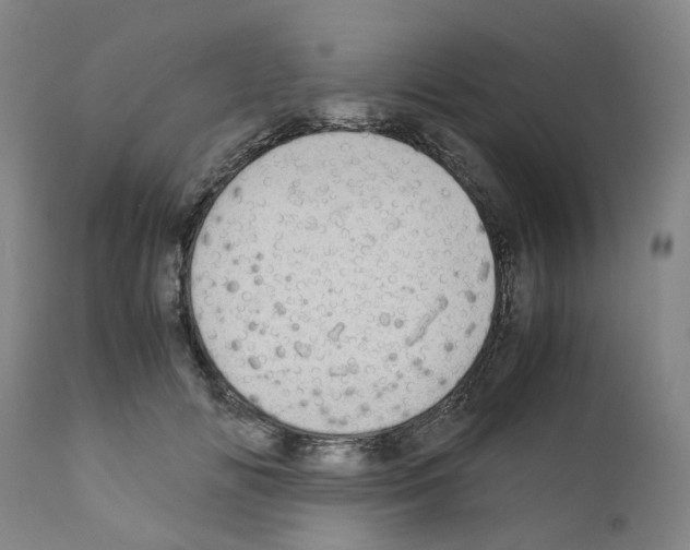 X0000110950702200907311042