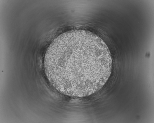 X0000110950703200907311042