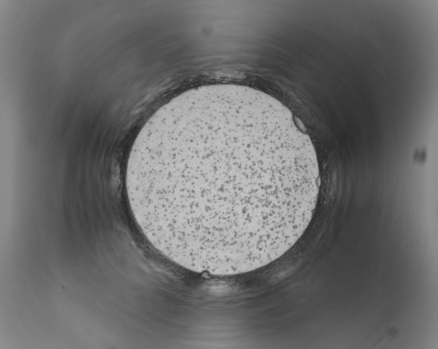 X0000110950704200907311042