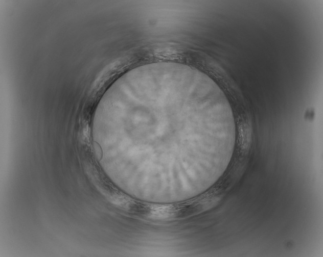 X0000110950705200907311042
