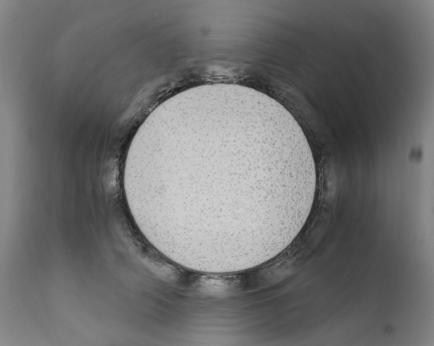 X0000110950706200907311042