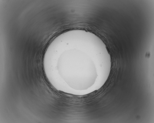 X0000110950708200907311042