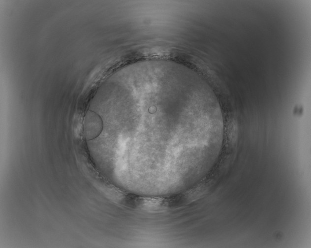 X0000110950709200907311042