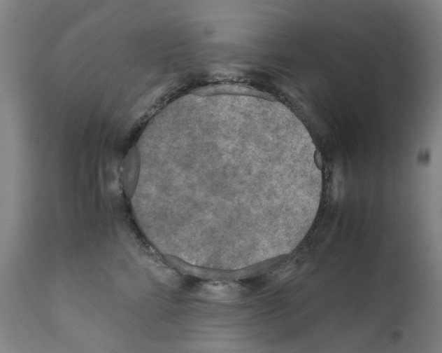X0000110950712200907311042