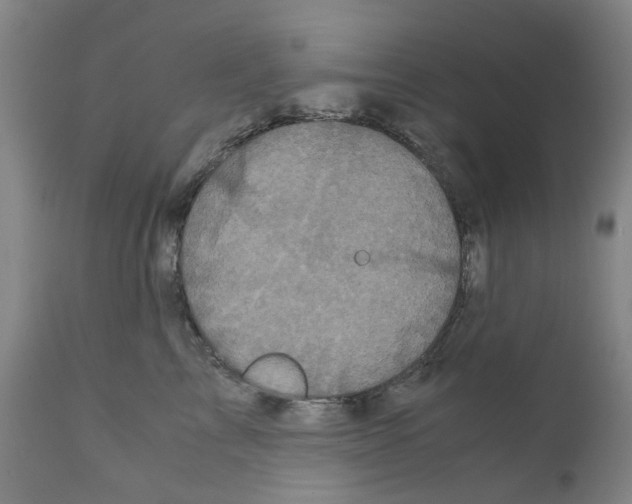 X0000110950713200907311042