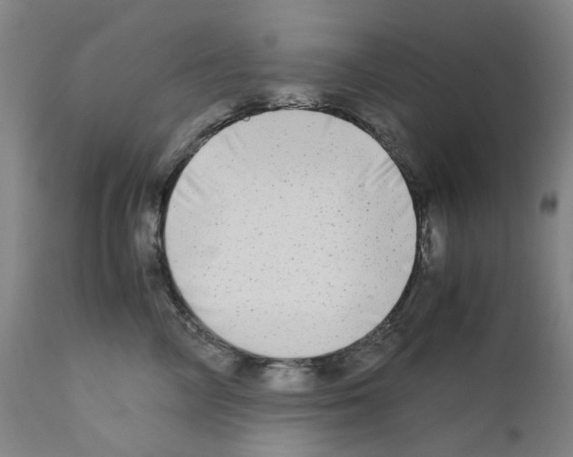 X0000110950714200907311042