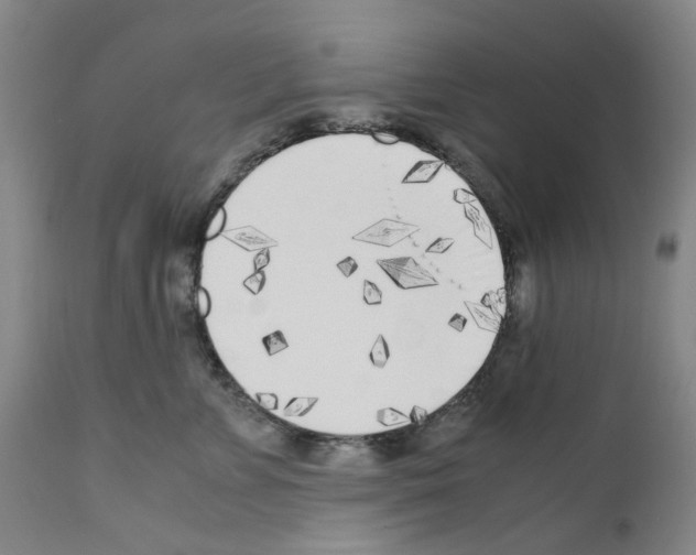 X0000110950715200907311042