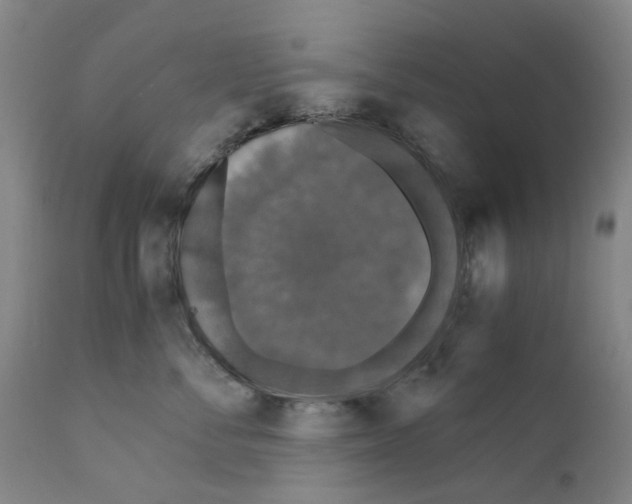 X0000110950716200907311042