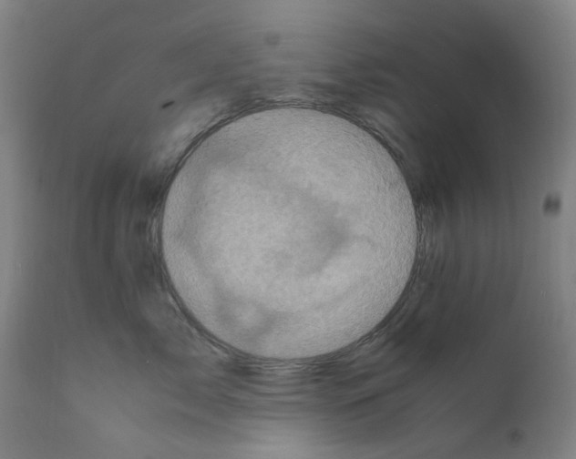 X0000110950717200907311042