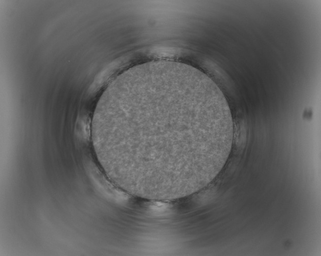 X0000110950718200907311041