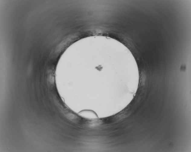 X0000110950719200907311041