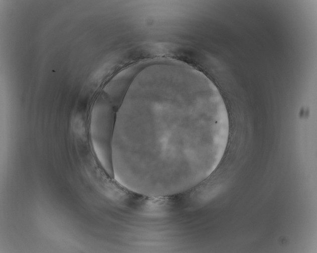 X0000110950720200907311041