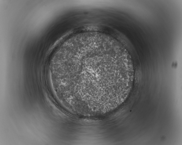 X0000110950722200907311041